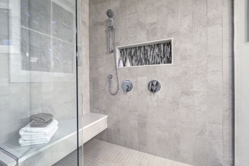 Shower Niche Ideas